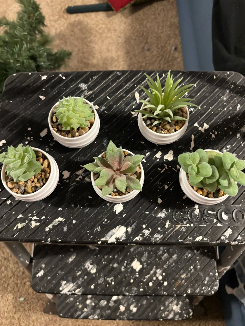Mini Artificial Succulent Assortment in White Pots - Green